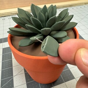 3D-Printed Succulent | Functional Houseplant | Push-Pin Holder | Desk Gadget | Perfect Gift for Plant Lovers