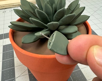 3D-Printed Succulent | Functional Houseplant | Push-Pin Holder | Desk Gadget