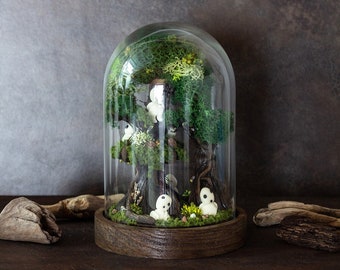 Kodama Terrarium in een glazen koepel V.6