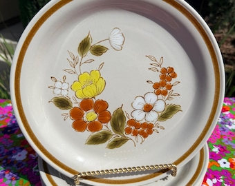 Vintage Mountain Wood Collection Stoneware Dinner Plates in