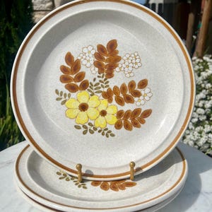 Vintage 1970s Flower Stoneware Dinner Plates Set of 3 Colorstone Japan Yellow Brown Green Cream White Daisy