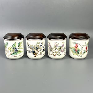 Porcelain storage Jar by Villeroy & Boch Botanica | vintage Germany