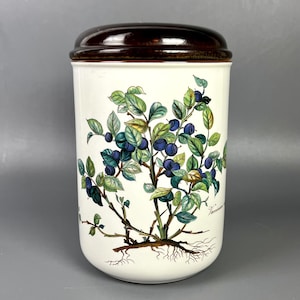Large Porcelain storage Jar by Villeroy & Boch Botanica | vintage Germany