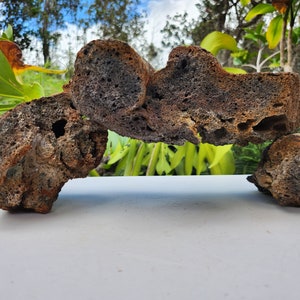 Red Hawaiian Lava Rock Aquarium Terrarium Reptile Fish Turtle natural