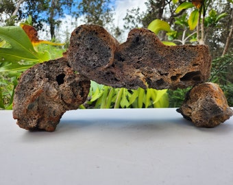 Rode Hawaïaanse Lavasteen Aquariumterrarium Reptiel Vis Schildpad natuurlijk