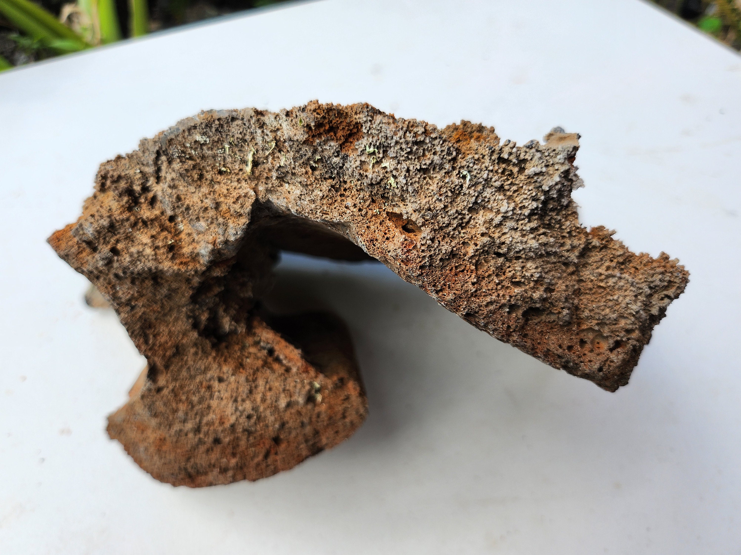 Hawaiian Rocks Hawaiian Lava Rock Natural Aquarium & Terrarium Decor Two Rocks - Etsy