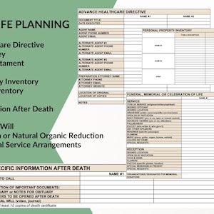 Life Affairs Organizer: Digital Excel Spreadsheet | Financial, Medical, Estate, End of Life & More | PDF Guidebook image 10