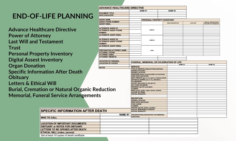 Life Affairs Organizer: Digital Excel Spreadsheet | Financial, Medical, Estate, End of Life & More | PDF Guidebook image 10