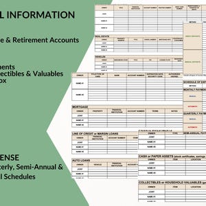 Life Affairs Organizer: Digital Excel Spreadsheet | Financial, Medical, Estate, End of Life & More | PDF Guidebook image 7