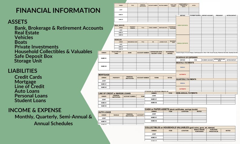 Life Affairs Organizer: Digital Excel Spreadsheet | Financial, Medical, Estate, End of Life & More | PDF Guidebook image 7