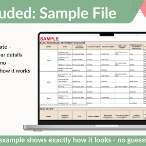 Life Affairs Organizer: Digital Excel Spreadsheet | Financial, Medical, Estate, End of Life & More | PDF Guidebook image 5