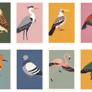 Puede incluir: Una colecci&oacute;n de ocho ilustraciones de aves. Cada ilustraci&oacute;n presenta una especie de ave diferente, incluyendo un b&uacute;ho, una garza, un c&aacute;lao, un colibr&iacute;, una abubilla, una paloma, un flamenco y un ibis, sobre fondos de colores variados.