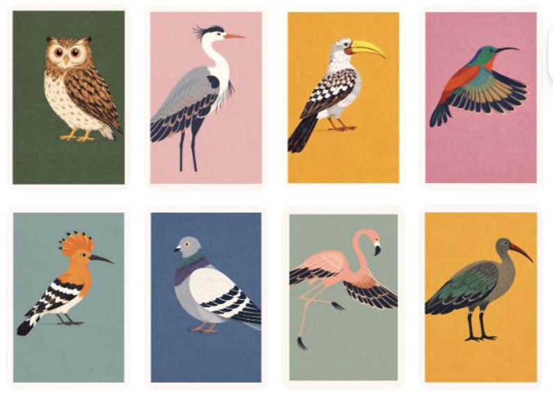 Puede incluir: Una colecci&oacute;n de ocho ilustraciones de aves. Cada ilustraci&oacute;n presenta una especie de ave diferente, incluyendo un b&uacute;ho, una garza, un c&aacute;lao, un colibr&iacute;, una abubilla, una paloma, un flamenco y un ibis, sobre fondos de colores variados.