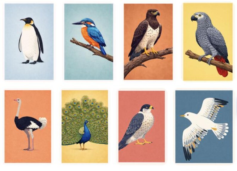 Puede incluir: Una colecci&oacute;n de ocho grabados art&iacute;sticos con diversas aves. Los grabados muestran un ping&uuml;ino, un mart&iacute;n pescador, un halc&oacute;n, un loro, un avestruz, un pavo real, un halc&oacute;n y una gaviota. Cada ave est&aacute; representada en una ilustraci&oacute;n detallada y colorida sobre un fondo de color s&oacute;lido.