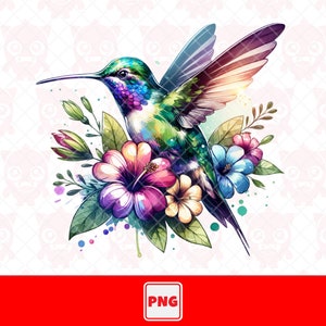 Colibri Png, dessin Colibri, motif floral png, aquarelle, t-shirt, chemise colorée, téléchargement numérique.