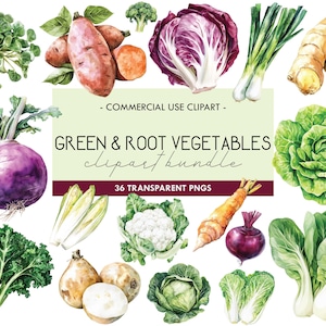Clipart aquarelle vert & légumes racines, décoration de ferme, verger de mariage, graphiques de marché de producteurs, clipart garden party, PNG transparent