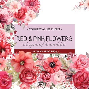 Flores vermelhas e rosa PNG, buquês de clipart floral em aquarela, elementos, vaso, molduras florais, bordas, uso comercial, clipart digital