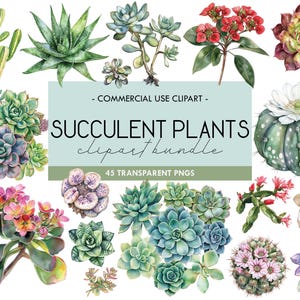 Aquarel vetplanten clipart, kamerplanten, kamerplanten graphics, cactus png, landschap, groen, gebladerte, tuinieren, planner