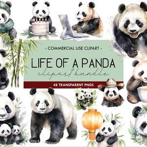 Leven van een Panda aquarel clipart, schattige dierenillustraties, realistische tekeningen, bedreigde diersoorten, transparante PNG, digitale download