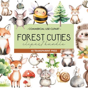 Animaux de la forêt, animaux de la forêt, clipart aquarelle mignons animaux de la forêt, clipart aquarelle PNG, renard, hibou, lapin, animaux de la forêt, baby shower