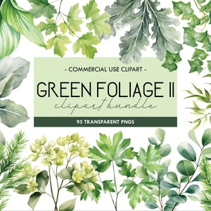 Watercolor Greenery Clipart: Foliage PNG Bundle for Commercial Use