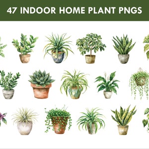 Op de afbeelding: Een verzameling van 47 aquarel illustraties van kamerplanten in potten. De planten zijn afgebeeld in verschillende stijlen en maten, waaronder varens, vetplanten, slangplanten en spinplanten.