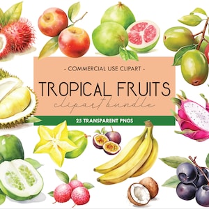 Tropische Früchte Aquarell Clipart, exotische Früchte, Sommer Vibes, kommerzielle Nutzung, transparente PNG, Papaya, Durian, Rambutan, Guava, Pitaya