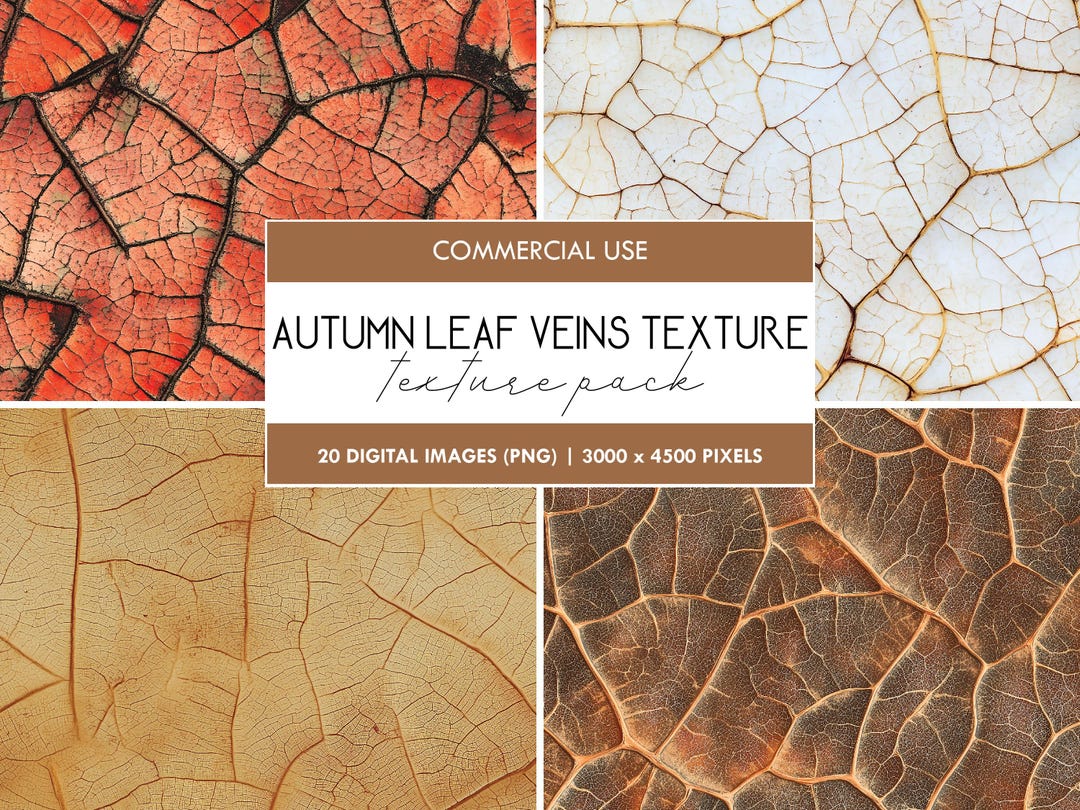 Autumn Leaf Veins Texture: Fall Seamless Pattern (PNG) - Etsy