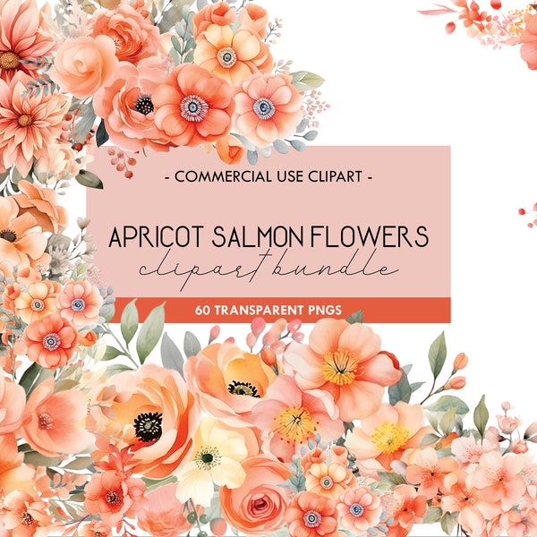 Apricot Salmon Flowers Watercolor Clipart, Orange & Cream Floral, Transparent PNG, Elements, Vase, Frame, Digital Download, Commercial Use