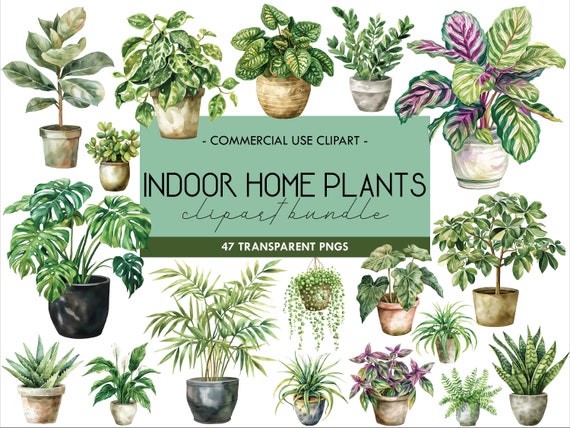 Watercolor Houseplant Clipart: Potted Plants PNG Graphics (Digital Download)