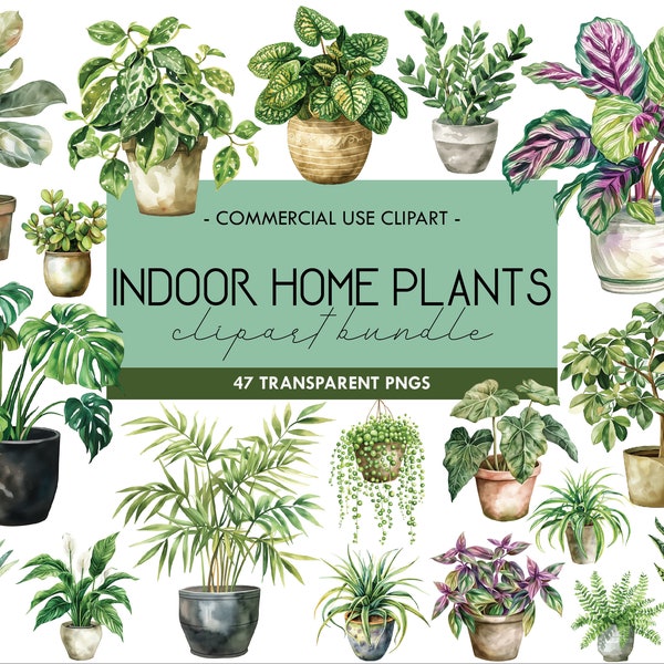Indoor Home Plants Watercolor Clipart, Houseplants Graphics, Potted Plants, Landscape, Greenery, Foliage, Gardening, Transparent PNG