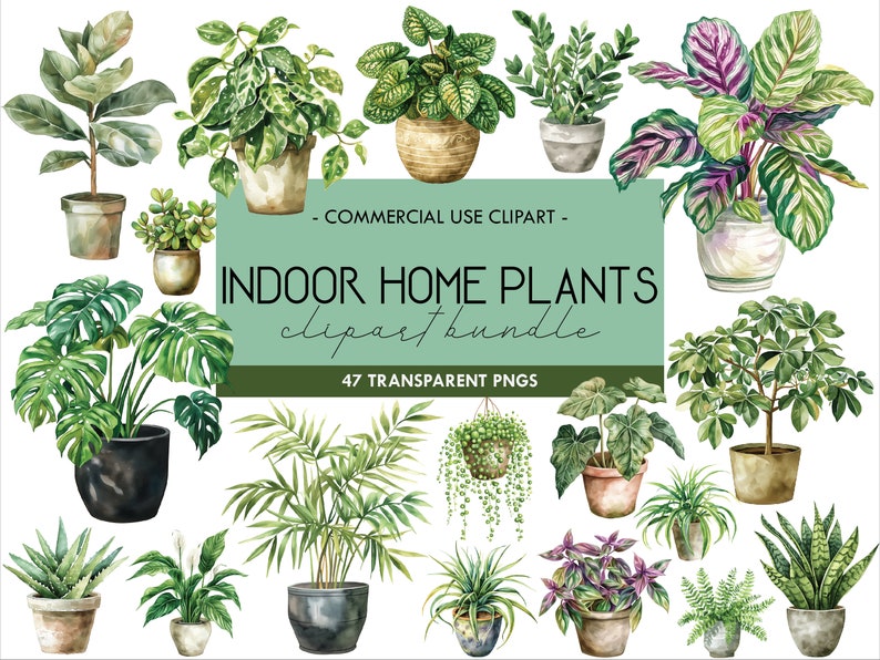Op de afbeelding: Een verzameling van 47 aquarel illustraties van kamerplanten in potten. De planten zijn afgebeeld in verschillende tinten groen, sommige met paarse en witte accenten. De illustraties zijn gelabeld met "Indoor Home Plants clipart bundle" en "47 Transparent PNGs".