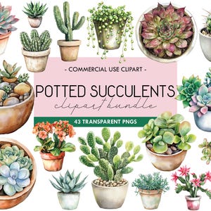 Aquarel ingegoten vetplanten clipart, kamerplanten, kamerplanten in potten graphics, cactus png, landschap, groen, gebladerte, tuinieren