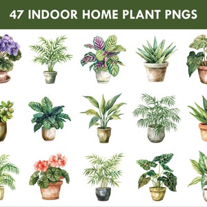 Op de afbeelding: Een verzameling van 47 aquarel illustraties van kamerplanten in potten. De planten zijn afgebeeld in verschillende stijlen, waaronder varens, vetplanten en bloeiende planten. De illustraties zijn perfect voor gebruik in digitale of gedrukte projecten.