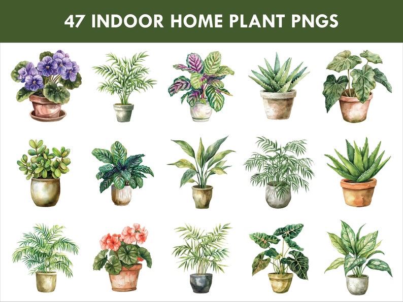 Op de afbeelding: Een verzameling van 47 aquarel illustraties van kamerplanten in potten. De planten zijn afgebeeld in verschillende stijlen, waaronder varens, vetplanten en bloeiende planten. De illustraties zijn perfect voor gebruik in digitale of gedrukte projecten.