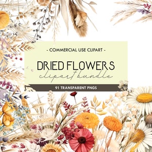 Clipart de aquarela de flores secas, arte de flores secas, buquês de tons de terra, floral bege neutro, elementos, uso comercial, clipart digital