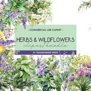 Clipart aquarelle herbes et fleurs sauvages, plantes aromatiques, art de fleurs sauvages, fleurs botaniques de mariage, bouquet de fines herbes, bordures florales, fleur PNG
