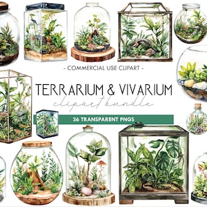 Aquarel clipart terrarium en vivarium, pot tuinkunst, sneeuwbol tuin, kamerplant, glazen tuin, aquarium, landschapsafbeeldingen, bonsai