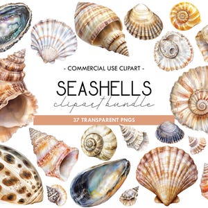 Seashells Watercolor Clipart, Ocean-themed Graphics, Conch Shell, Summer Beach Clipart, Nautical Seascapes, Printable Sea shell Designs, PNG