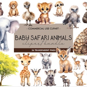 Baby Safari Animals Watercolor Clipart, Jungle Animal Illustrations, Baby Shower, Children Celebrations, Transparent PNG, Digital Download