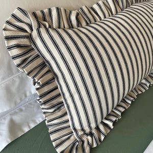 A black and white striped pillow with a ruffled edge. The pillow is on a green surface.