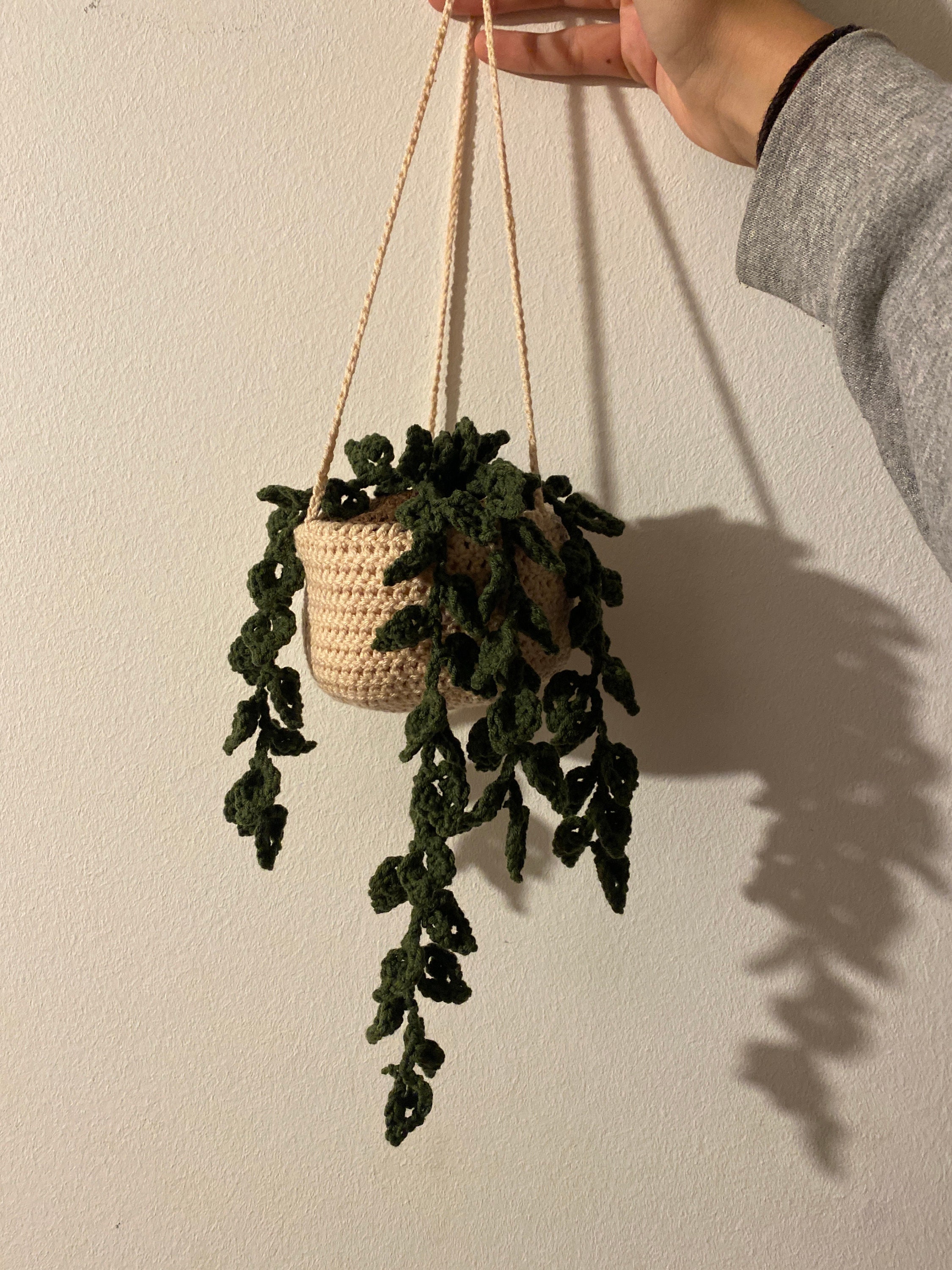 Crochet hanging plant - .de
