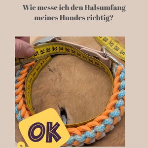 Paracord dog collar and leash "A walk in the Park" image 9