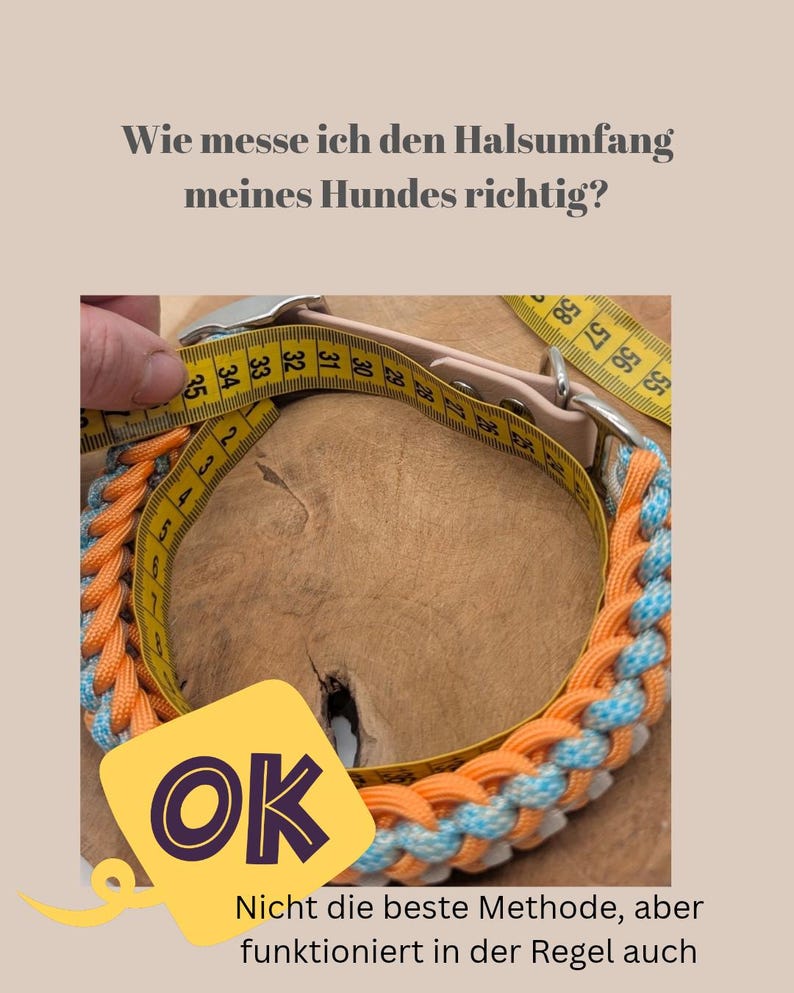 Paracord dog collar and leash "A walk in the Park" image 9