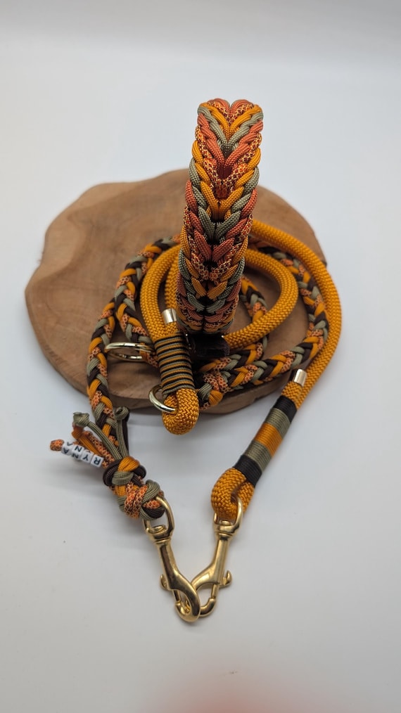 Paracord Hundehalsband  und Leine "A walk in the Park"