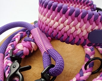 Ensemble collier et laisse en violet et rose