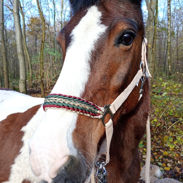 Christmas halter in thoroughbred size