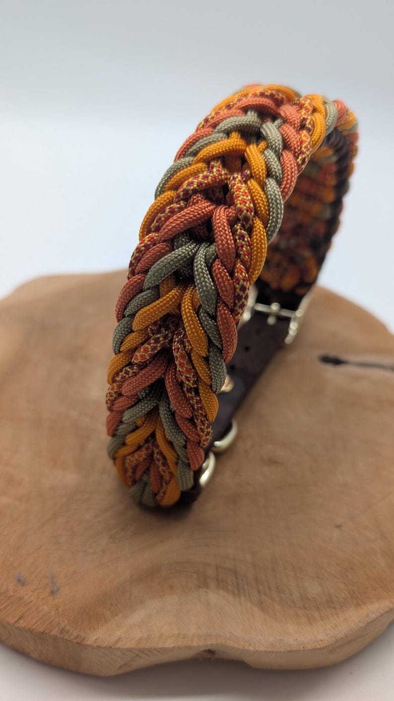 May include: Braided dog collar in shades of orange, yellow, and green. The collar features a brown leather backing and metal hardware. The woven design creates a textured appearance. A stylish accessory for pets.