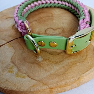 Frühlingsset Paracordhalsband und Tauleine für Hunde Bild 8