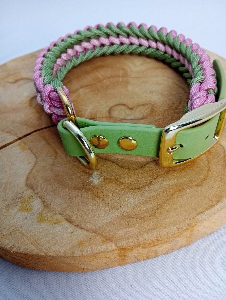 Conjunto de resortes de collar de paracord y correa de cuerda para perros imagen 8